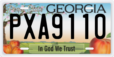 GA license plate PXA9110
