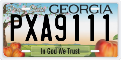 GA license plate PXA9111