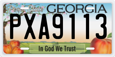 GA license plate PXA9113