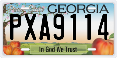 GA license plate PXA9114