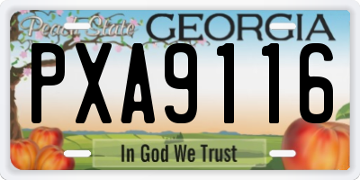 GA license plate PXA9116