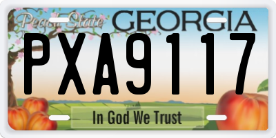 GA license plate PXA9117