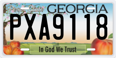 GA license plate PXA9118