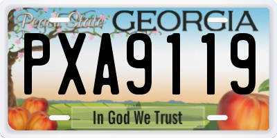 GA license plate PXA9119