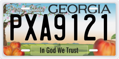 GA license plate PXA9121