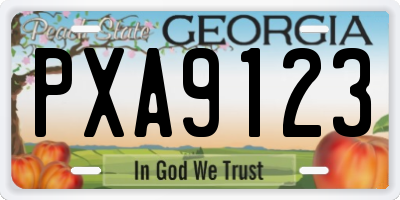 GA license plate PXA9123