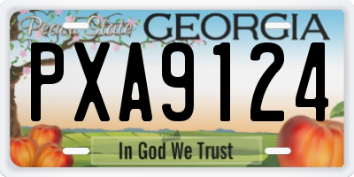 GA license plate PXA9124