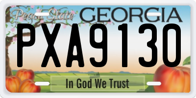 GA license plate PXA9130