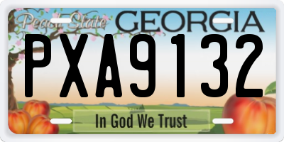 GA license plate PXA9132