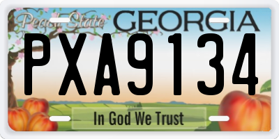 GA license plate PXA9134
