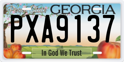 GA license plate PXA9137