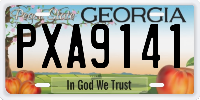 GA license plate PXA9141