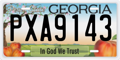 GA license plate PXA9143