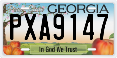 GA license plate PXA9147