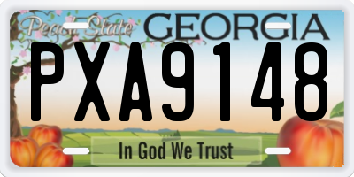 GA license plate PXA9148