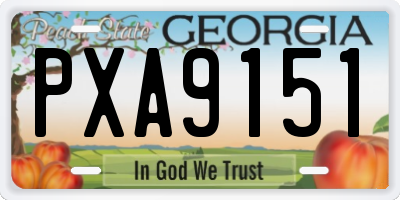GA license plate PXA9151