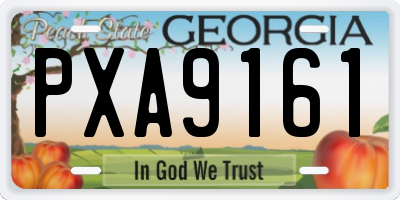 GA license plate PXA9161