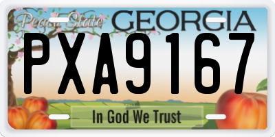 GA license plate PXA9167