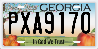 GA license plate PXA9170