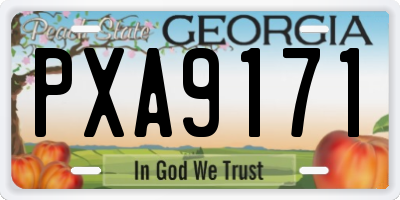 GA license plate PXA9171