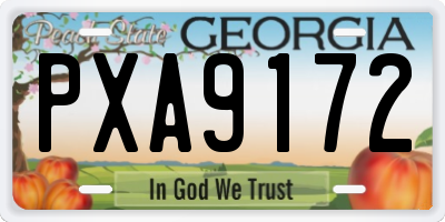 GA license plate PXA9172