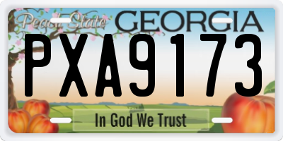 GA license plate PXA9173