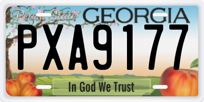 GA license plate PXA9177