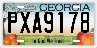 GA license plate PXA9178