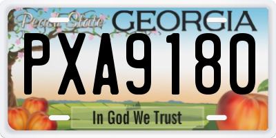 GA license plate PXA9180