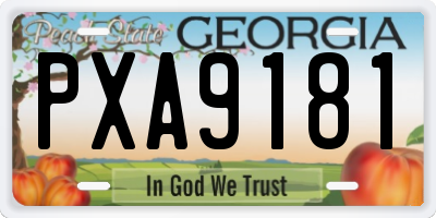 GA license plate PXA9181