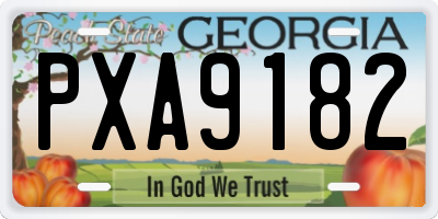 GA license plate PXA9182