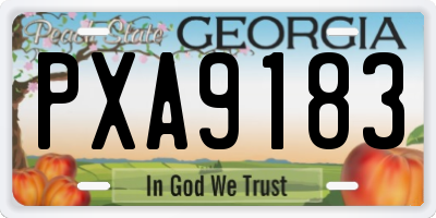 GA license plate PXA9183