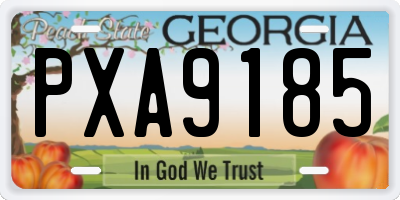 GA license plate PXA9185