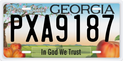 GA license plate PXA9187