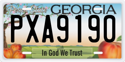 GA license plate PXA9190