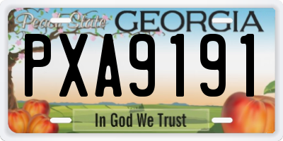 GA license plate PXA9191