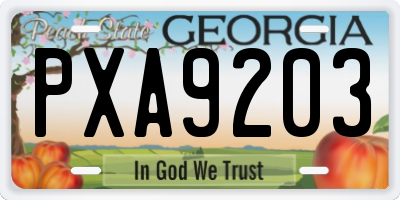 GA license plate PXA9203