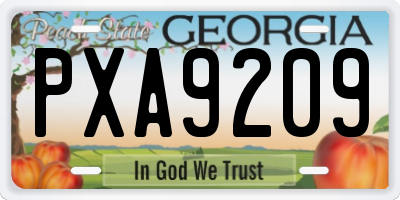 GA license plate PXA9209