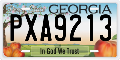 GA license plate PXA9213