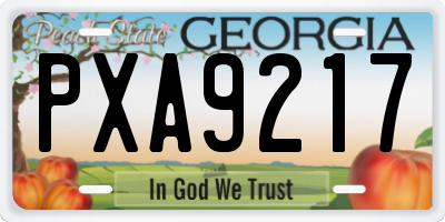 GA license plate PXA9217