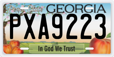 GA license plate PXA9223