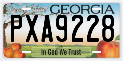 GA license plate PXA9228