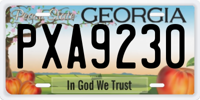 GA license plate PXA9230