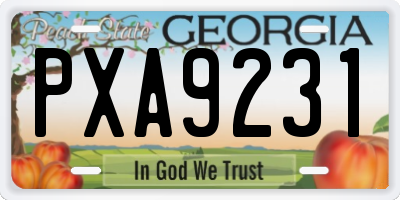 GA license plate PXA9231
