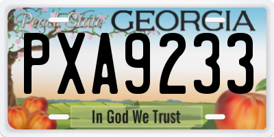 GA license plate PXA9233