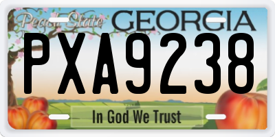 GA license plate PXA9238