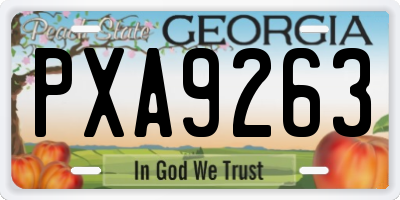 GA license plate PXA9263