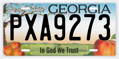 GA license plate PXA9273