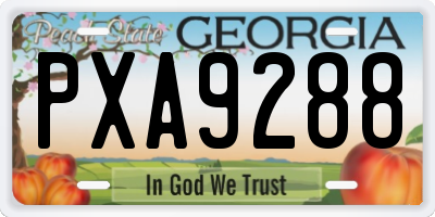 GA license plate PXA9288