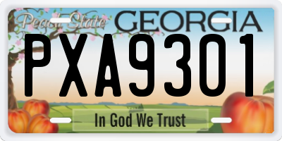 GA license plate PXA9301